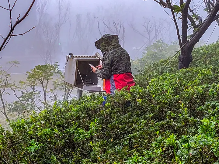 Read more about the article 縮時攝影拾趣：黃蜂來佔場