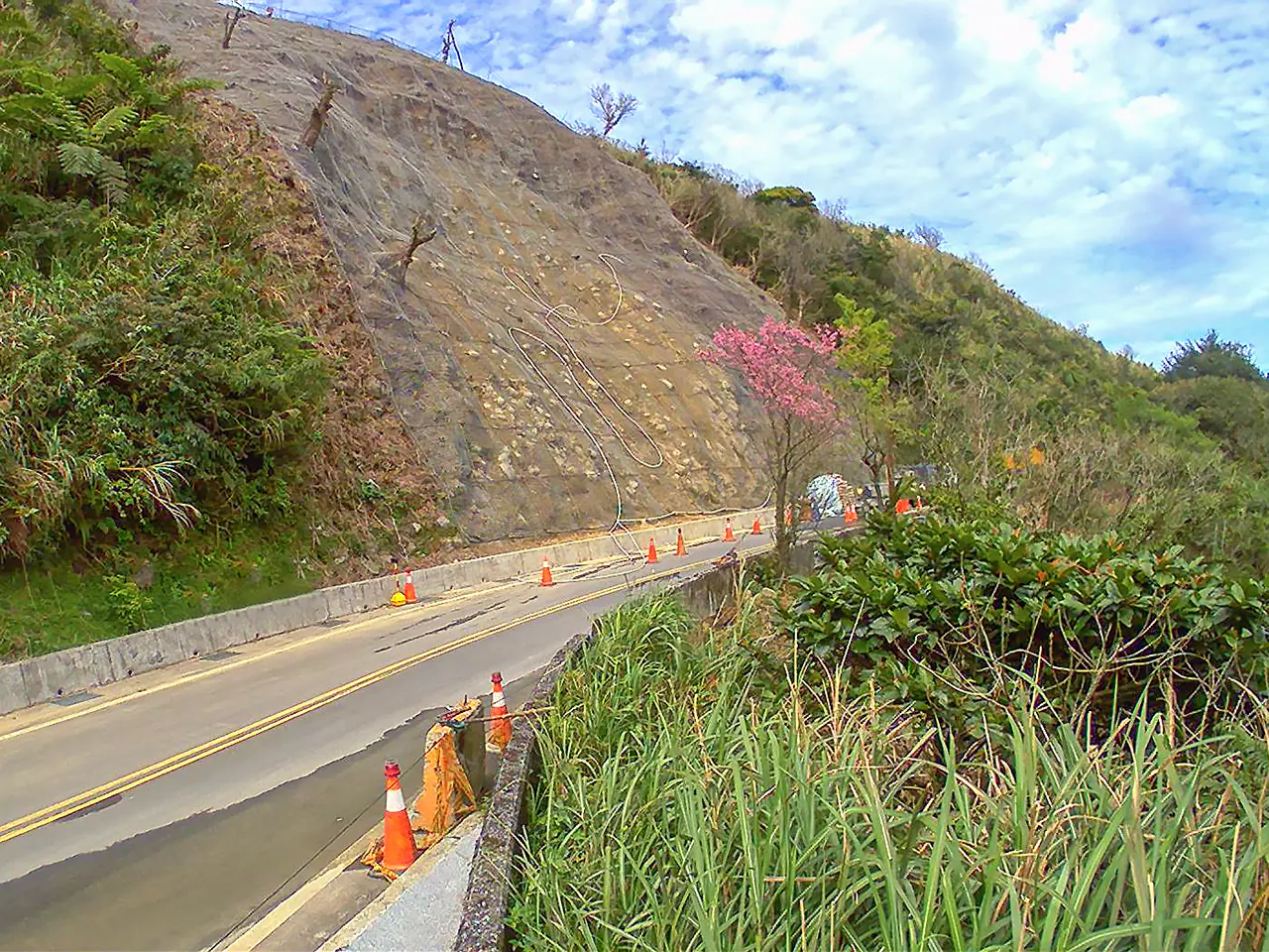 Read more about the article 縮時攝影拾趣:櫻花盛開全紀錄