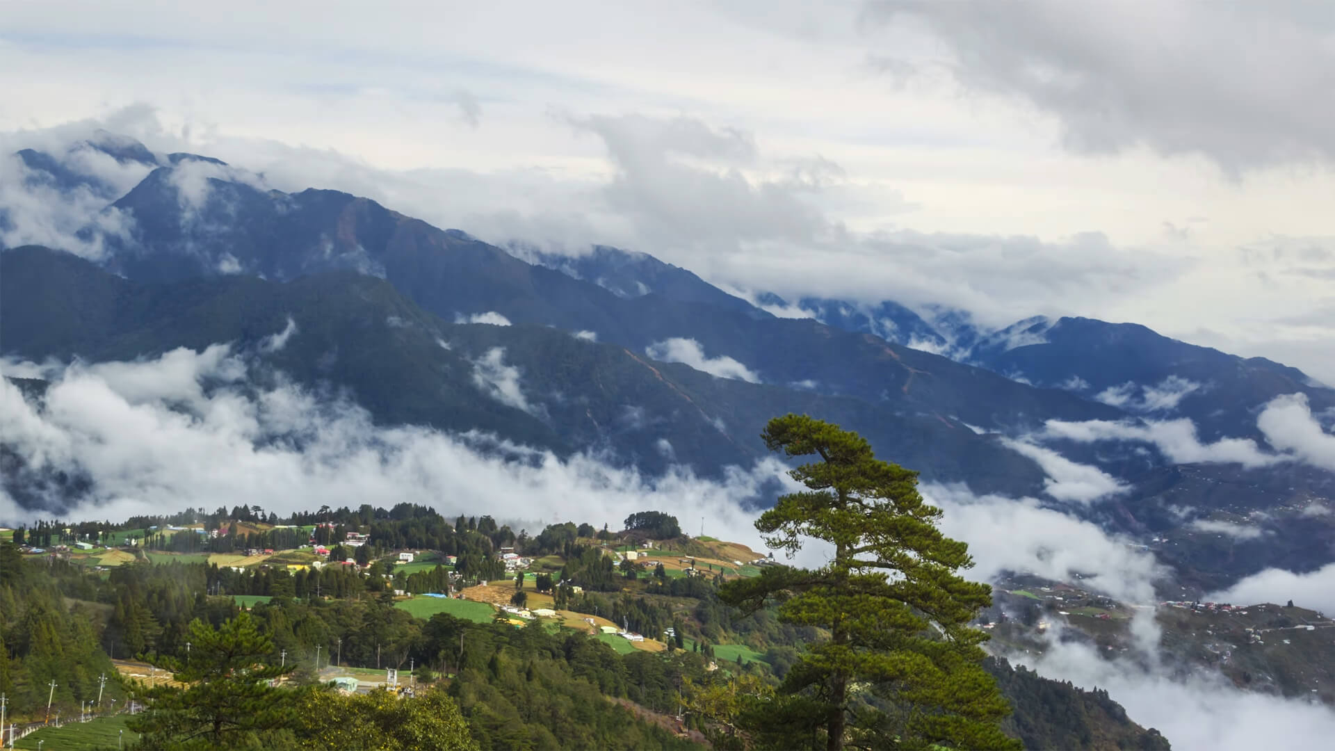 Read more about the article 台中福壽山雲霧之美